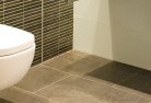 Clarence Parktoilet-repairs-and-replacements-5.jpg; ?>